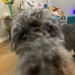 Hailey Aaron - @haileyconnects - Instagram