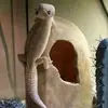 Hailey Abrams - @hailey.abrams8 - TikTok