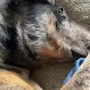 hailey_bales - @hailey_bales - TikTok