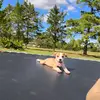 Hailey Bass❤ - @hailey.bass0 - TikTok