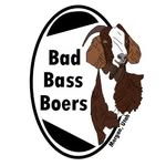 Hailey Bass- Owner - @bad_bass_boers - Instagram