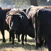 Haley Batchelor - @haley.batchelor4 - TikTok