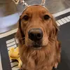 Hailey Baughman - @hailzbaughman - TikTok