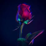 Hailey Berry - @tropicalstorms12hlb - Instagram
