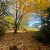 Dilfs_only - @hailey_boynton__ - TikTok