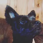 Hailey Branch - @haileybranch12 - Instagram