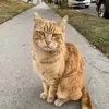Hailey Brent - @hailey.brent5 - TikTok