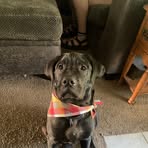 Hailey Brindle - Facebook