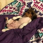 Hailey Buckley - @haileybuckley11 - Instagram