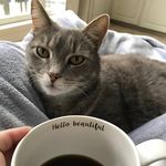 Haley Bunker Crumbley - @haley_kitty2929 - Instagram