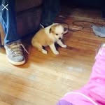 Hailey Burroughs - @haileyburroughs2007 - Instagram