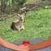 Hailey Busby - Facebook