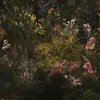 hailey<3 - @hailey.butts_ - TikTok