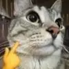 Hailey Byers - @haileyy4lifee - TikTok