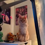Hailey Byers - @hailey__byers200 - Instagram