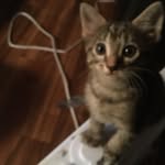 Hailey deann calderon - @haileycalderon61 - Instagram