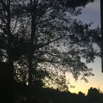 @hailey_carder - Instagram