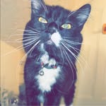 Hailey Caron - @haileybones14 - Instagram