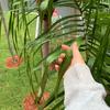 My Secret Acc 🤫 - @hailey.carone - TikTok