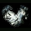 Hailey Cleary - @harleyandjoker4ever - TikTok