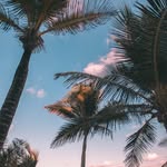 Hailey Corbin - @haileyyys_spam_enjoy - Instagram