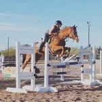 Hailey Cox - @a_girl_and._.her_horses - Instagram