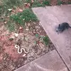 Hailey Cross - @hailey.cross7 - TikTok