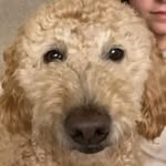 Hailey Cross - @tuckerthescorpio - Instagram
