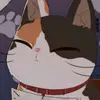 TheCatMaxwell - @haileydeleon82 - TikTok