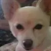 hailey_dowdy6 - @hdowdy6 - TikTok