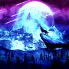 user2486193275960 - @hailey.dowdy - TikTok