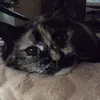 Hailey Drummond - @mysteryiloveu - TikTok
