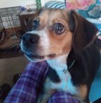 Hailey Durst - Facebook
