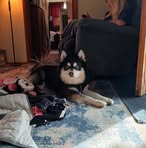 Hailee Dutton - Facebook