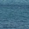 hailey dyer - @hailey.dyer8 - TikTok