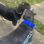 Hailey Eaton - @hailey_jr_2020 - Instagram