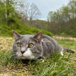 Hailey Eldridge - @tinycat4444 - Instagram