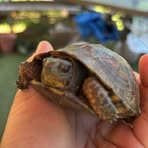 Hailey Lynn Eldridge - Facebook