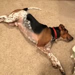 Hailey Engstrom - @piercious_and_sages_adventures - Instagram