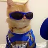 hailey. - @hailey.fairchildd - TikTok