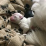 Hailey-Lynn fallon - @haileylynnfallon - Instagram