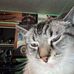 Hailey Farmer - Facebook