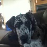 Hailey Farmer - @majorslade1234 - Instagram