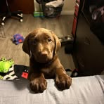 Hailey Finley - Facebook