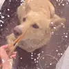 hailey.fishh - @hailey.fishh - TikTok