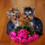 hailey flores gonzales - @haileyfloresgonza - Instagram