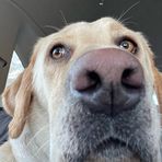 Hailey Foley - Facebook