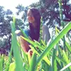 Hailey garza - @haileygarza - TikTok