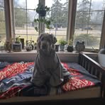 Haley Gauthier - Facebook