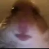 Hailey Goff - @haileygoff__ - TikTok